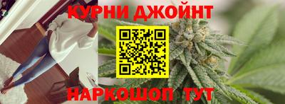 прущие грибы Жуковский