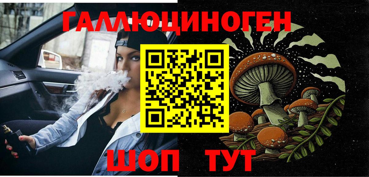 Галлюциногенные грибы Psilocybine cubensis Пушкино