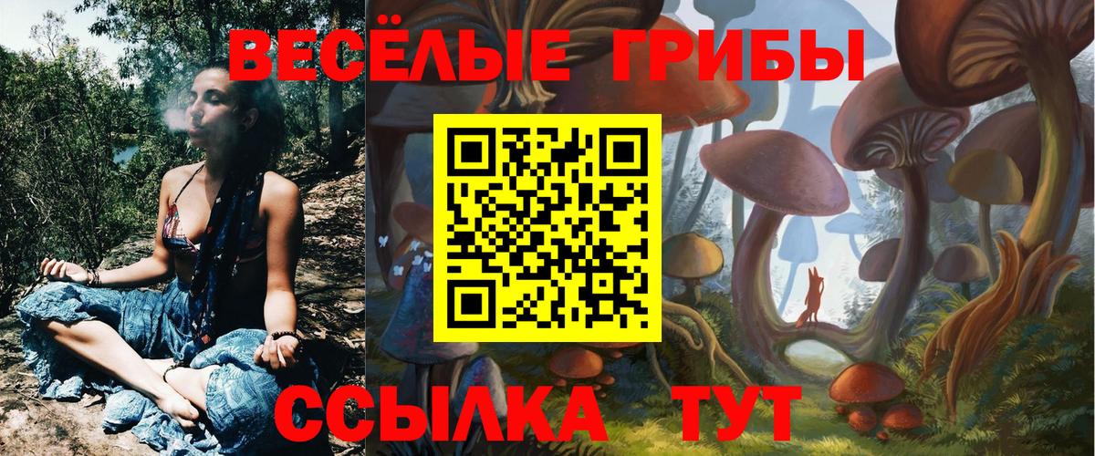 Пушкино  Псилоцибиновые грибы Magic Shrooms  Вход с VPN 